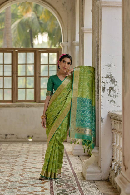 IKKAT Raw Silk Saree – Pochampally Weaving with Resham Jal, Zari Border, Traditional Pallu & Contrast Blouse