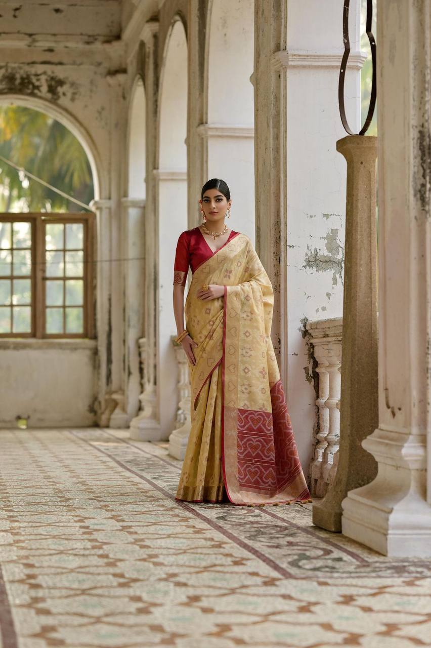 IKKAT Raw Silk Saree – Pochampally Weaving with Resham Jal, Zari Border, Traditional Pallu & Contrast Blouse
