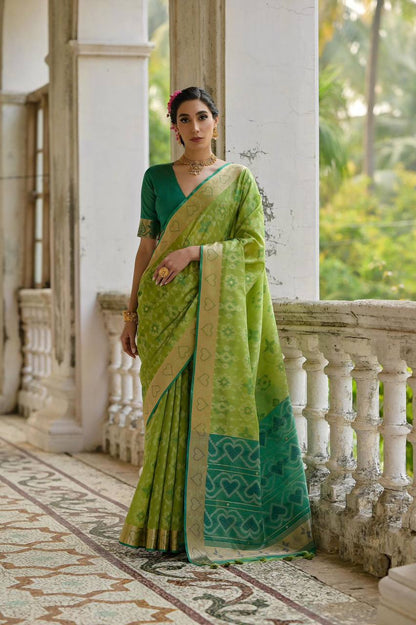IKKAT Raw Silk Saree – Pochampally Weaving with Resham Jal, Zari Border, Traditional Pallu & Contrast Blouse
