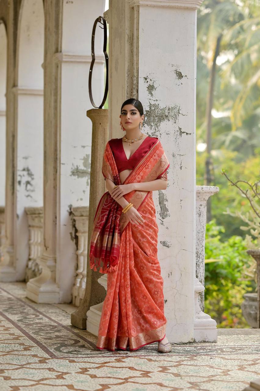 IKKAT Raw Silk Saree – Pochampally Weaving with Resham Jal, Zari Border, Traditional Pallu & Contrast Blouse