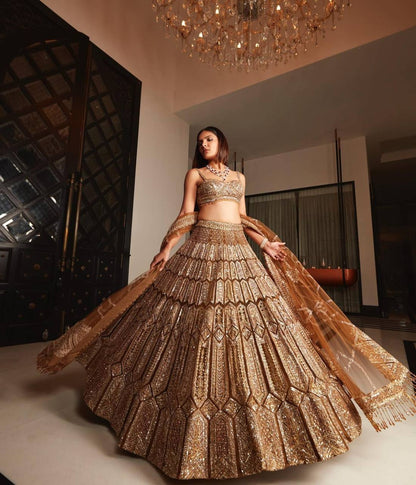Premium Heavy Malai Silk Lehenga Set – Coding, Zari & Sequins Work