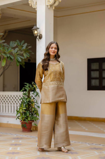 Premium Banarasi Viscose Co‑Ord Set – Heavy Semi‑Beads Embroidery Work