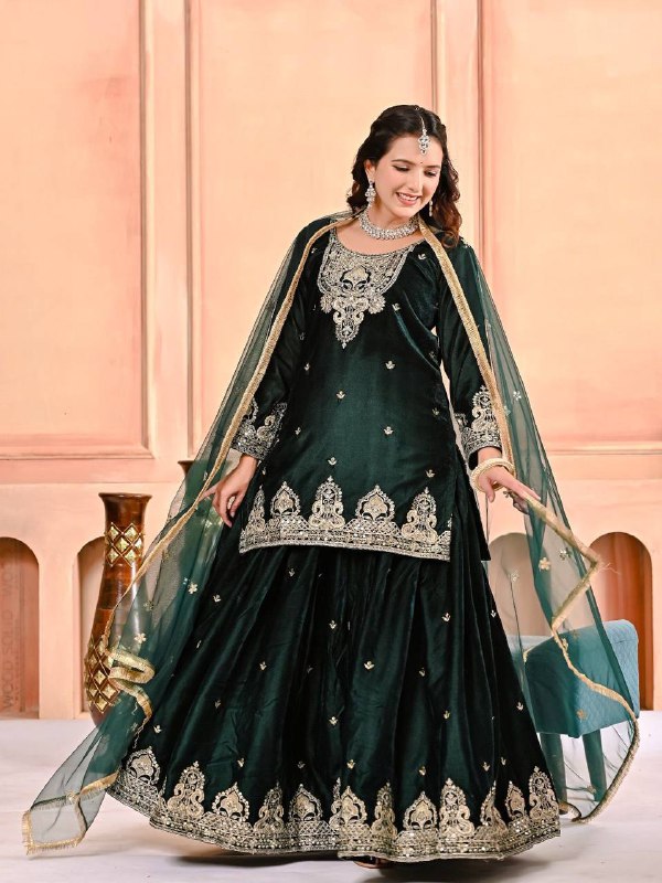 Premium Velvet Top, Sharara Plazzo & Butterfly Net Dupatta