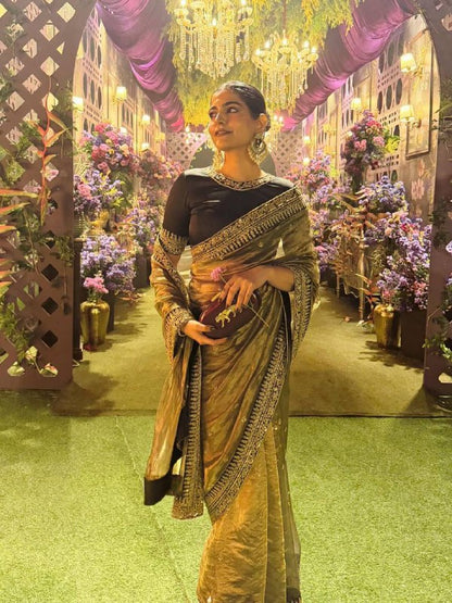 Premium Soft Twill Net Saree – Sequins & Dori Embroidery with Mono Banglori Blouse