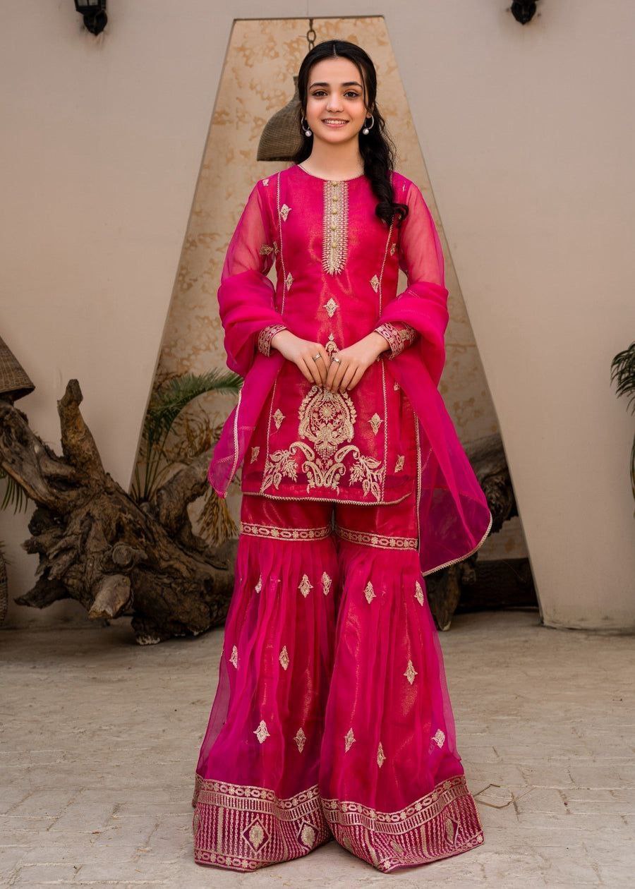 Diamond Georgette Partywear Palazzo Set with Dupatta | Sequin Embroidery | Fully Stitched